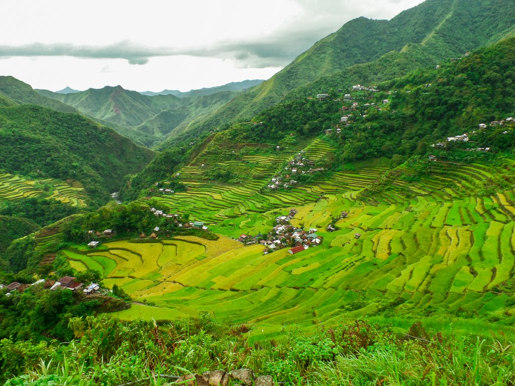 <img src="Batad rice terraces.gif" alt="Batad rice terraces at the northen philippines">