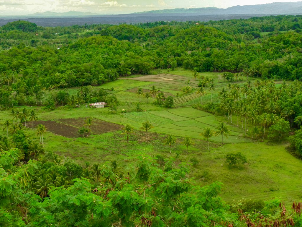 <img src="rural landscape.gif" alt="rural landscape at the northen philippines">